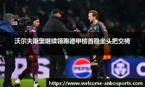 沃尔夫斯堡继续领跑德甲榜首稳坐头把交椅