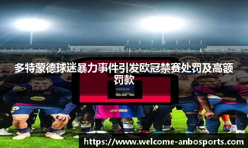 多特蒙德球迷暴力事件引发欧冠禁赛处罚及高额罚款