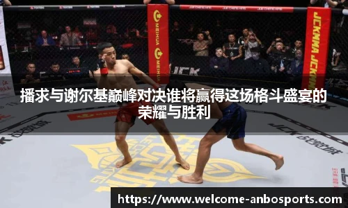 播求与谢尔基巅峰对决谁将赢得这场格斗盛宴的荣耀与胜利